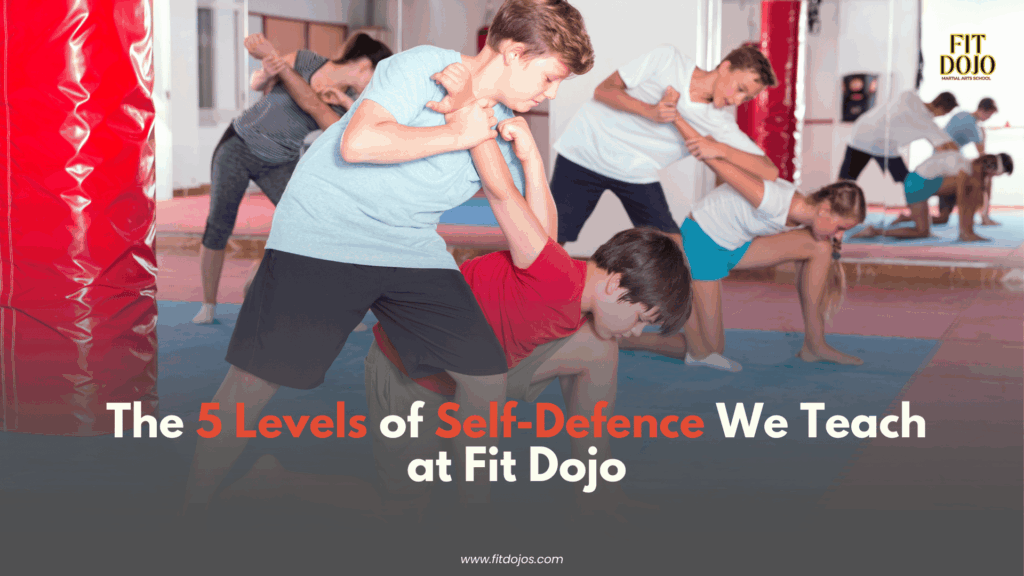 Self defence levels showing progressive skill development