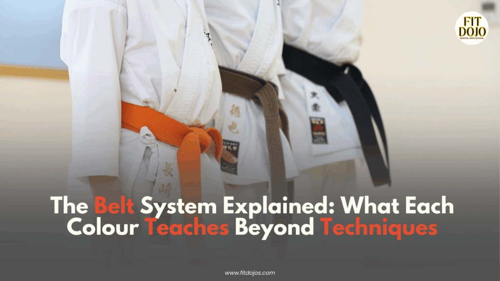 Belt system explained showing karate rank progression