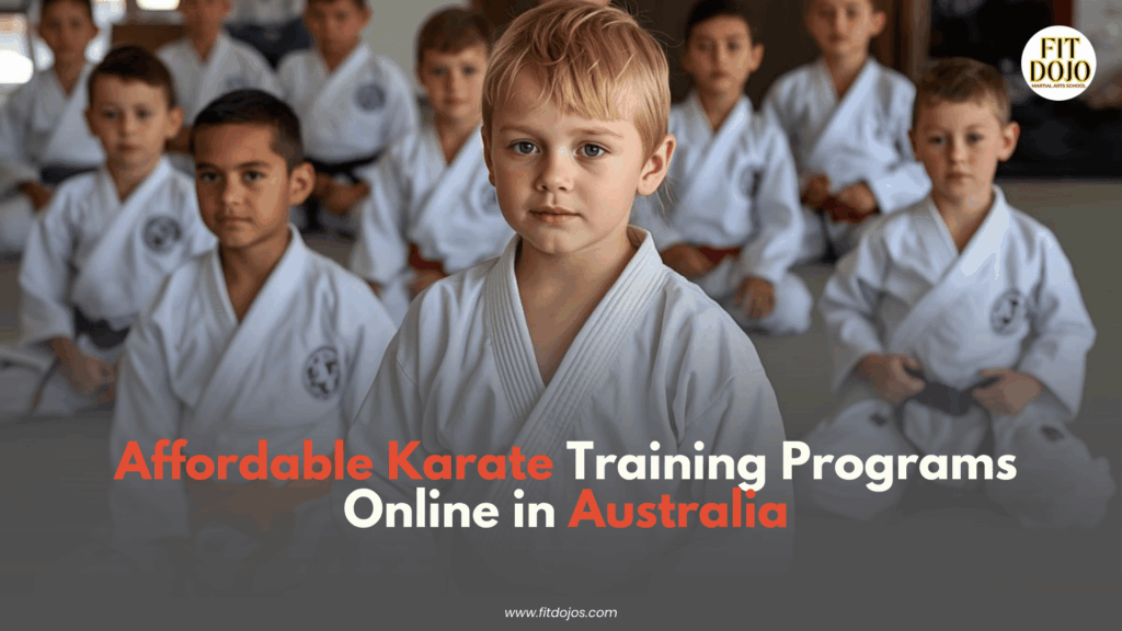 Affordable karate training online with video lessons and drills
